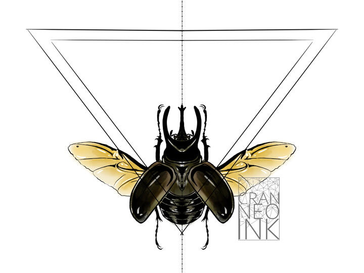 Geometric Atlas Beetle